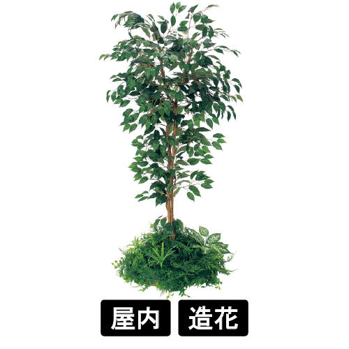 テーブル樹木 GR5136 H1500 450Ф フィカスベンジャミン