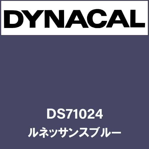 ダイナサイン DS71024 ルネッサンスブルー(DS71024)