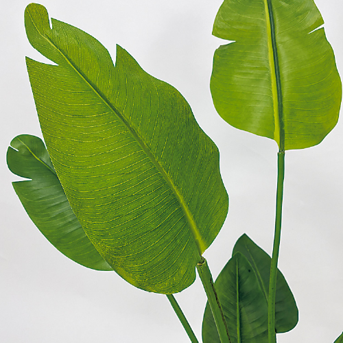 樹木プランター GR5079 H1400 オーガスタ(GR5079)_2