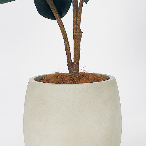 樹木プランター GR5101 H1250 ゴムの木(GR5101)_3