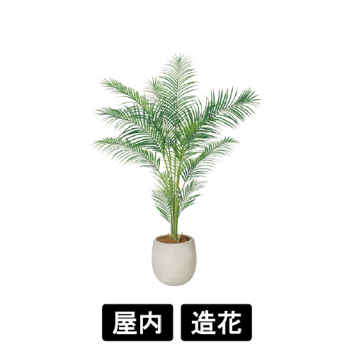 樹木プランター GR5104 H1550 アレカヤシ