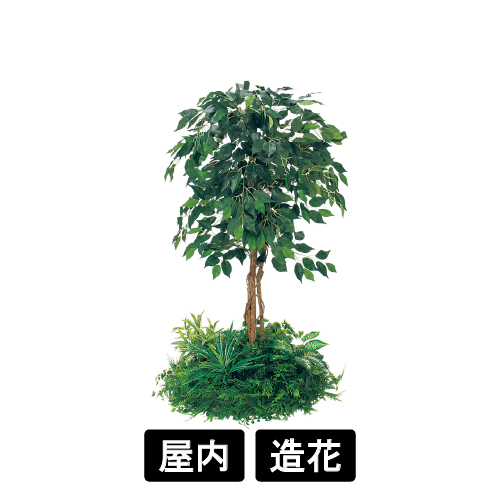 テーブル樹木 GR5139 H1200 530Ф フィカスベンジャミン