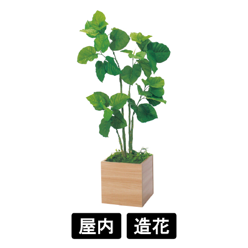 樹木プランター GR5016 H1150 ウンベラータ