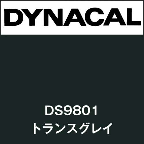 ダイナサイン DS9801 トランスグレイ(DS9801)