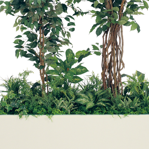 寄せ植えプランター GR5033 H2100 フィカスベンジャミン(GR5033)_2