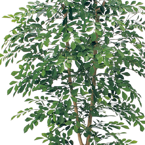 樹木プランター GR5107 H1700 トネリコ(GR5107)_2