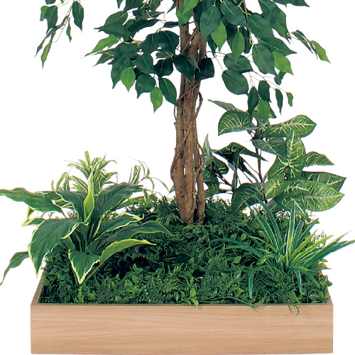 テーブル樹木 GR5129 H1200 600角 フィカスベンジャミン(GR5129)_2