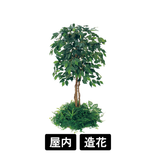 テーブル樹木 GR5135 H1200 450Ф フィカスベンジャミン