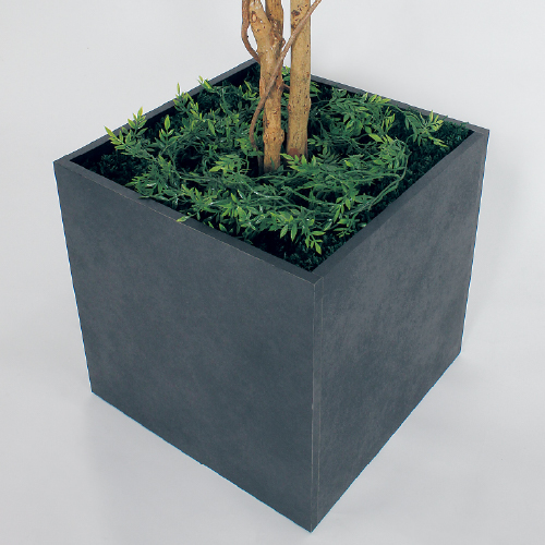 樹木プランター GR5005 H2300 フィカスベンジャミン(GR5005)_3