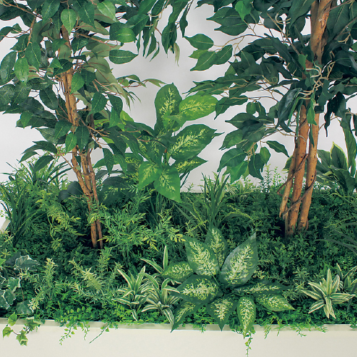 寄せ植えプランター GR5032 H1700 フィカスベンジャミン(GR5032)_2