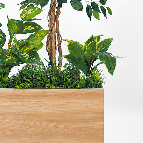 樹木パーテーション GR5120 H1800 フィカスベンジャミン&シェフレラ(GR5120)_2