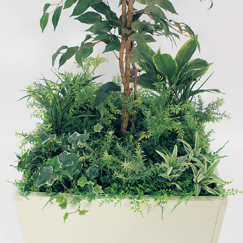 寄せ植えプランター GR5029 H1700 フィカスベンジャミン(GR5029)_2