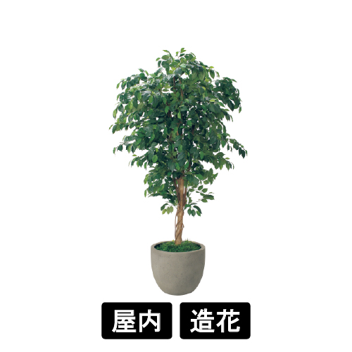 樹木プランター GR5092 H2100 フィカスベンジャミン