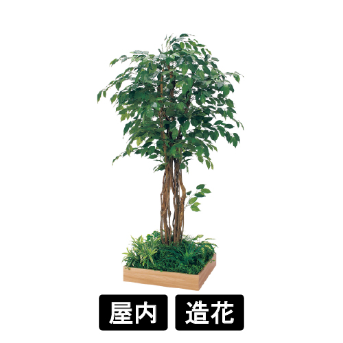 テーブル樹木 GR5127 H1800 530角 フィカスベンジャミン