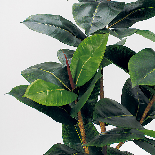 樹木プランター GR5101 H1250 ゴムの木(GR5101)_2