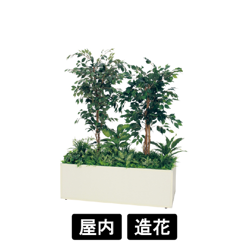 寄せ植えプランター GR5032 H1700 フィカスベンジャミン