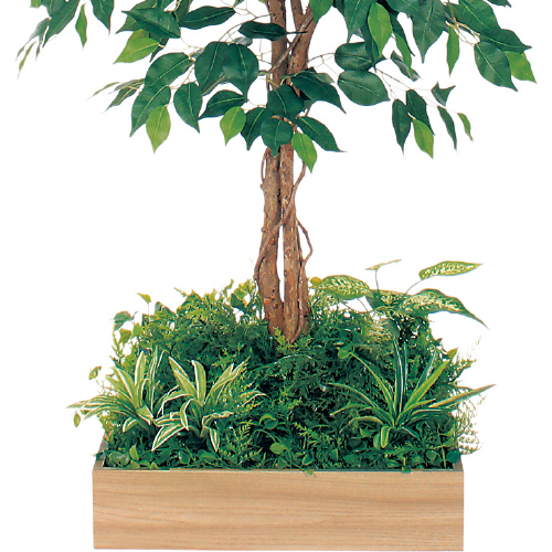 テーブル樹木 GR5121 H1200 450角 フィカスベンジャミン(GR5121)_2