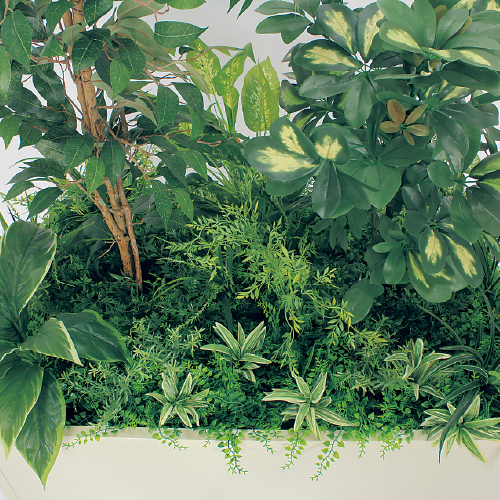 寄せ植えプランター GR5031 H1700 フィカスベンジャミン&シェフレラ(GR5031)_2