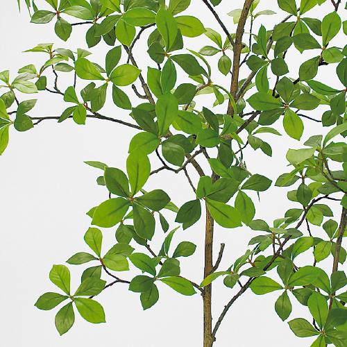 樹木プランター GR5105 H1600 アーモンドツリー(GR5105)_2