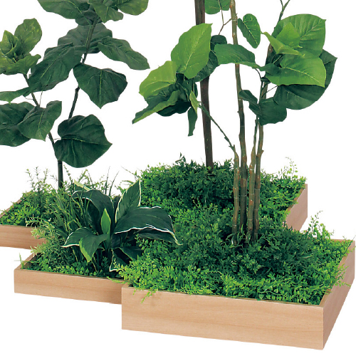 連接樹木 GM5702 H1800 4連 ウンベラータ(GM5702)_2