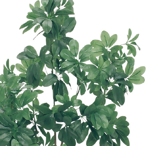 樹木プランター GR5009 H1700 シェフレラ(GR5009)_2