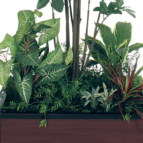 寄せ植えプランター GR5036 H2050 シェフレラ(GR5036)_2