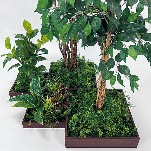 連接樹木 GM5728 H1800 4連 フィカスベンジャミン(GM5728)_2