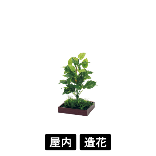 連接樹木 GR5081 H650 330角 