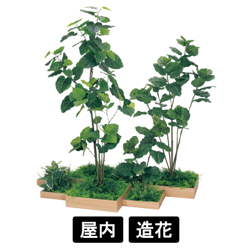 連接樹木 GM5703 H1800 7連 ウンベラータ(GM5703)