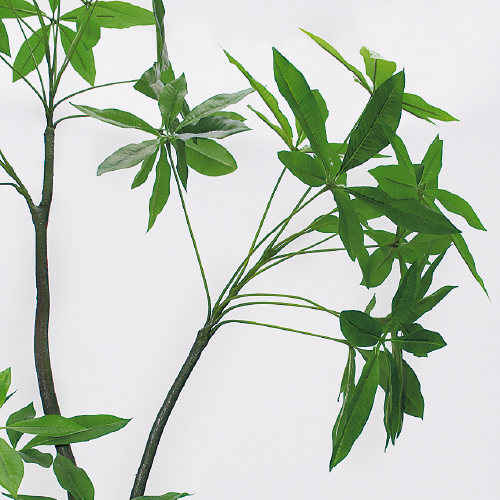 樹木プランター GR5097 H1800 パキラ(GR5097)_2