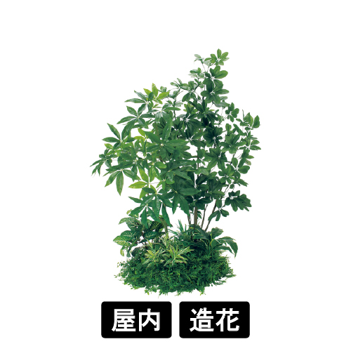 テーブル樹木 GR5147 H1500 600Ф パキラ&シェフレラ