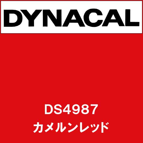 ダイナサイン DS4987 カルメンレッド(DS4987)