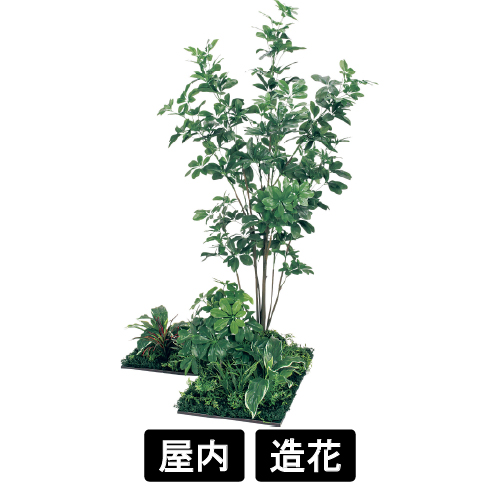 連接樹木 GM5714 H1800 450角3連 シェフレラ