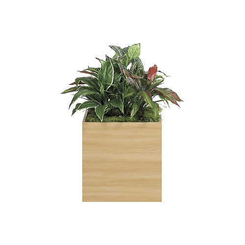 スタッキングプランター GR2549(GR2549)_2