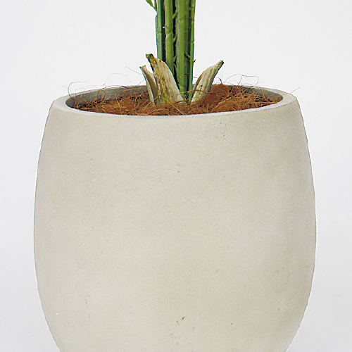 樹木プランター GR5104 H1550 アレカヤシ(GR5104)_3