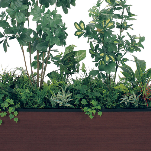 寄せ植えプランター GR5038 H1750 シェフレラ(GR5038)_2