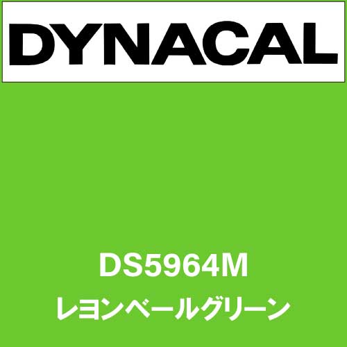 ダイナサイン DS5964M レヨンベールグリーン(DS5964M)