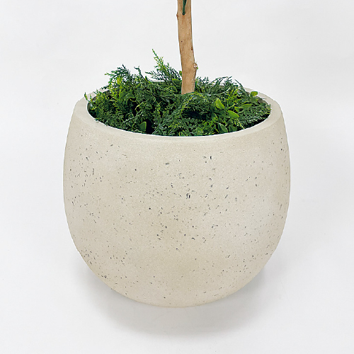 樹木プランター GR5071 H1600 パキラ(GR5071)_3