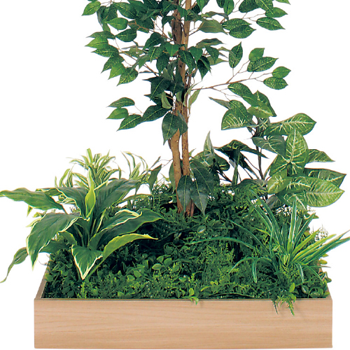 テーブル樹木 GR5130 H1500 600角 フィカスベンジャミン(GR5130)_2