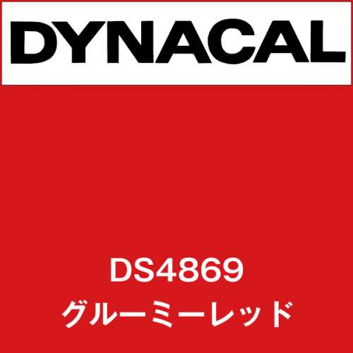 ダイナサイン DS4869 グルーミーレッド(DS4869)
