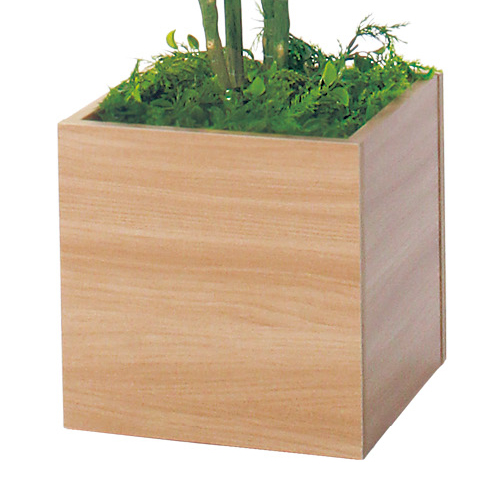 樹木プランター GR5016 H1150 ウンベラータ(GR5016)_3