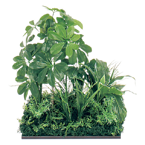 連接樹木 GR5061 H550 450角 シェフレラ(GR5061)_2