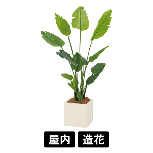 樹木プランター GR5079 H1400 オーガスタ(GR5079)