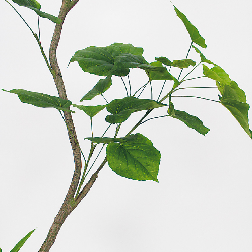 樹木プランター GR5096 H1800 ウンベラータ(GR5096)_2