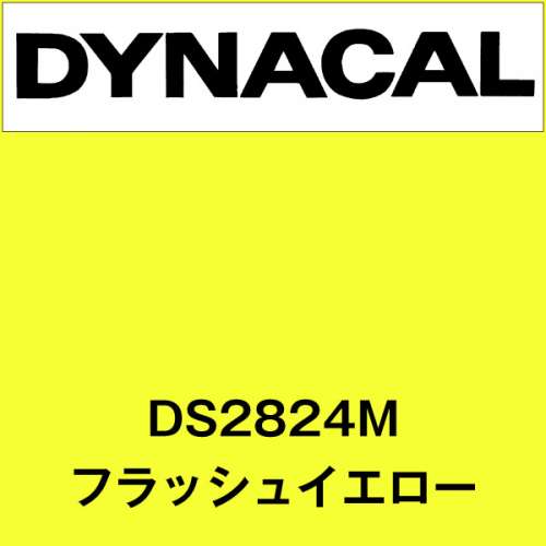 ダイナサイン DS2824M フラッシュイエロー(DS2824M)