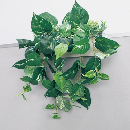 ハンギングポット　GR4429　パーテーションポット(GR4429)_8