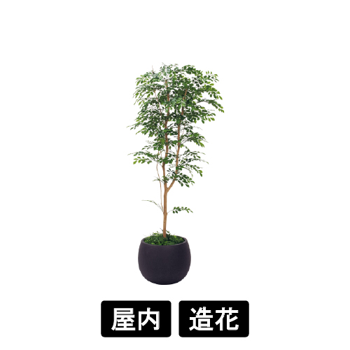 樹木プランター GR5072 H1700 トネリコ