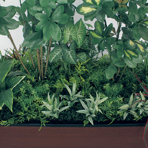 寄せ植えプランター GR5037 H1750 シェフレラ(GR5037)_2