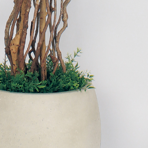 樹木プランター GR5006 H1900 フィカスベンジャミン(GR5006)_3