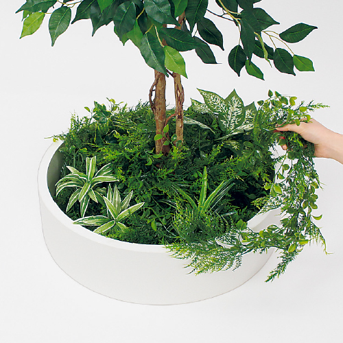 テーブル樹木 GR5140 H1500 530Ф フィカスベンジャミン(GR5140)_3